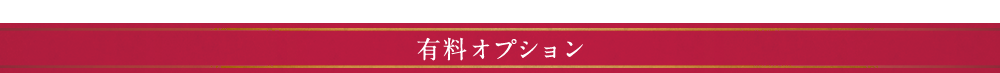 有料オプション