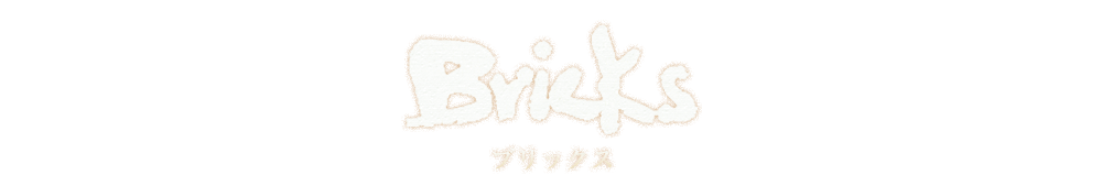 Bricks ブリックス