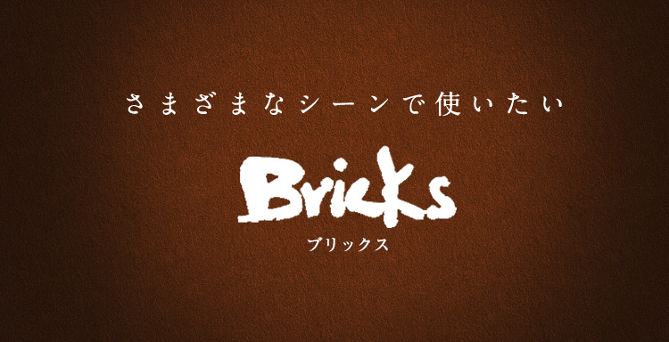 Bricks～ブリックス
