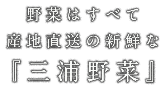 三浦野菜